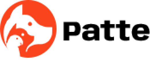 saharainnotech