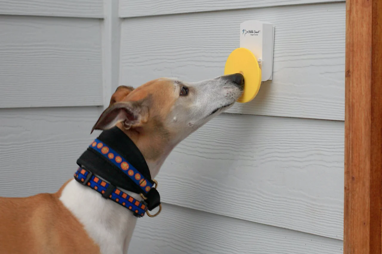 Teach Youur Dog to Ring a Bell to Go Outside