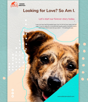 Looking for Love? So Am I.