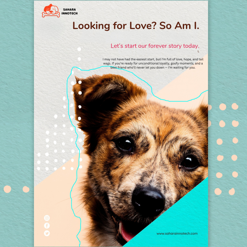 Looking for Love? So Am I.