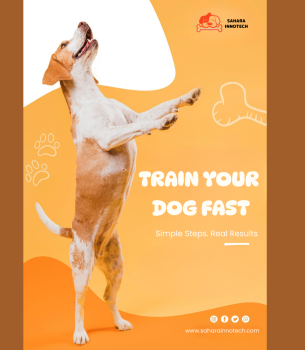 Train Your Dog Fast