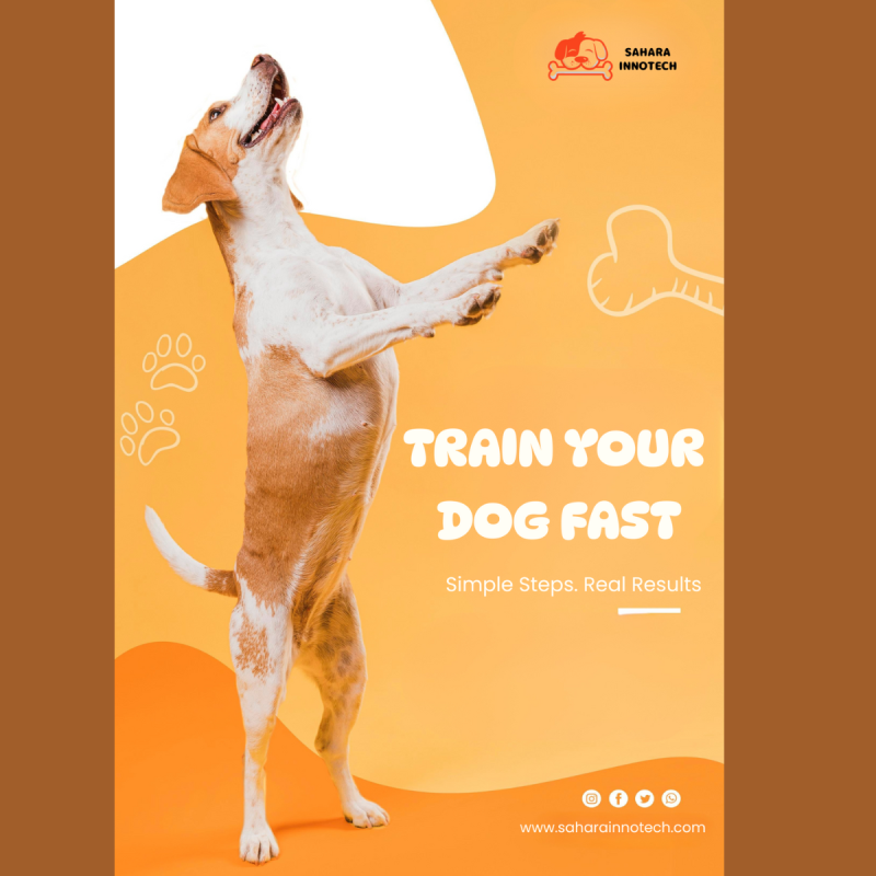 Train Your Dog Fast
