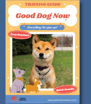 Good Dog Now