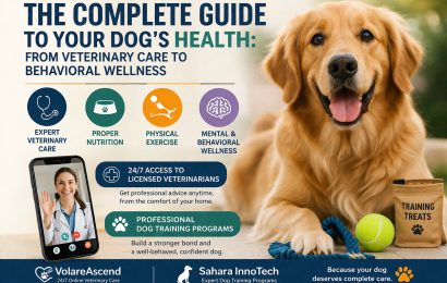 76cad271-5ae9-4855-8739-a2c15380cf54